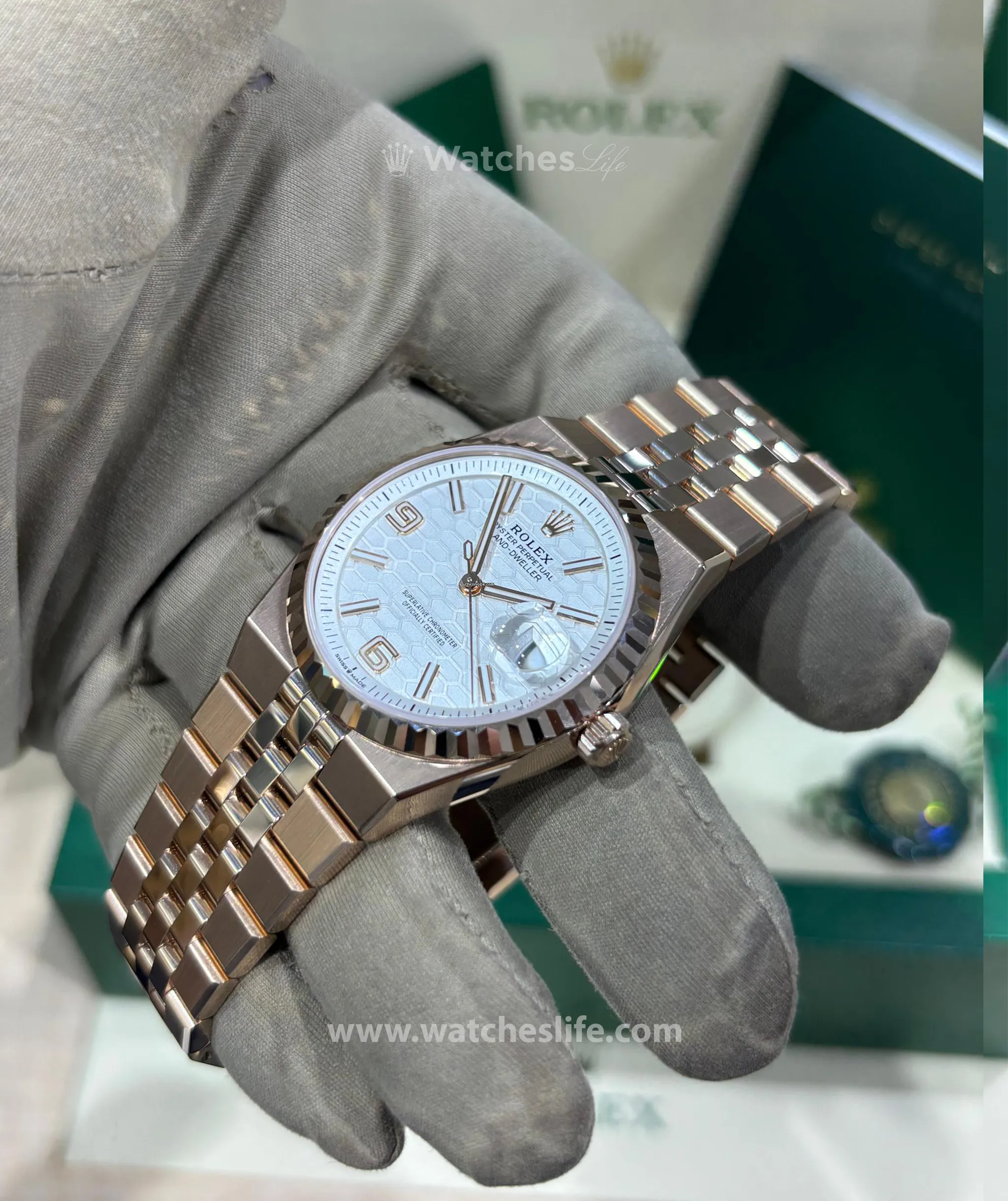 Rolex Land-Dweller - Lançamento 2025 - Imagem 2