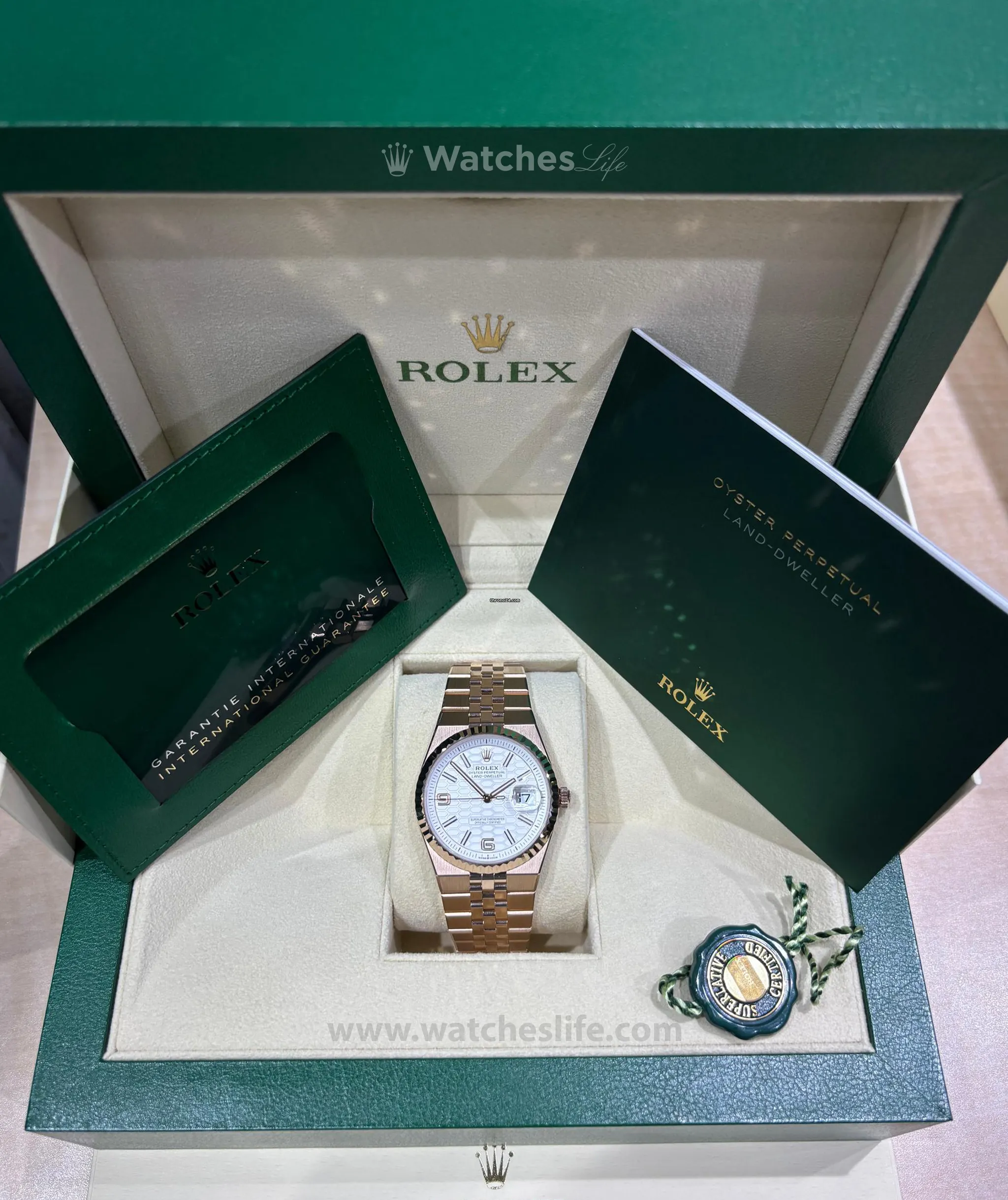 Rolex Land-Dweller - Lançamento 2025 - Imagem 4